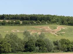 Bures Dragon